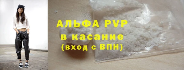 индика Балахна
