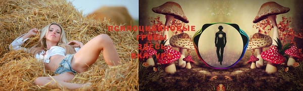 индика Балахна