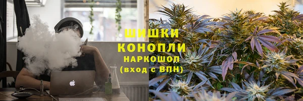индика Балахна