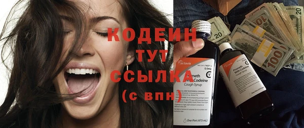 индика Балахна