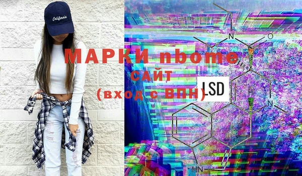 индика Балахна