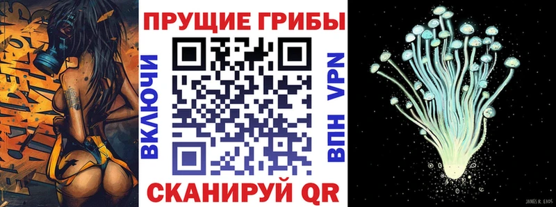 МЕГА зеркало  Калининец  Галлюциногенные грибы Cubensis 